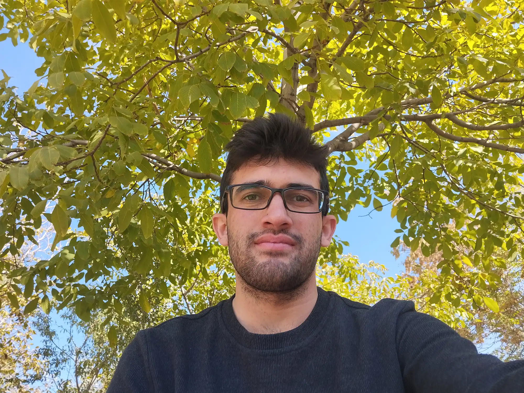 محمدامین اسکندری